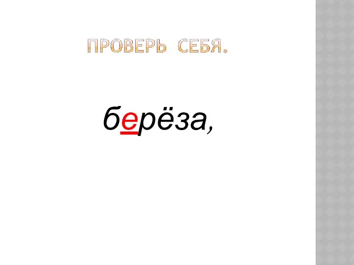 берёза,