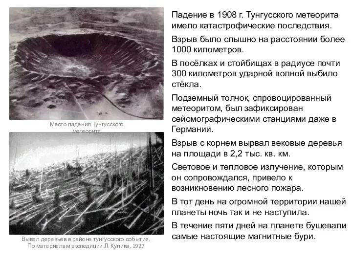 Вывал деревьев в районе тунгусского события. По материалам экспедиции Л. Кулика,