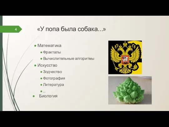 «У попа была собака…» 4 Математика Фракталы Вычислительные алгоритмы Искусство Зодчество Фотография Литература ... Биология