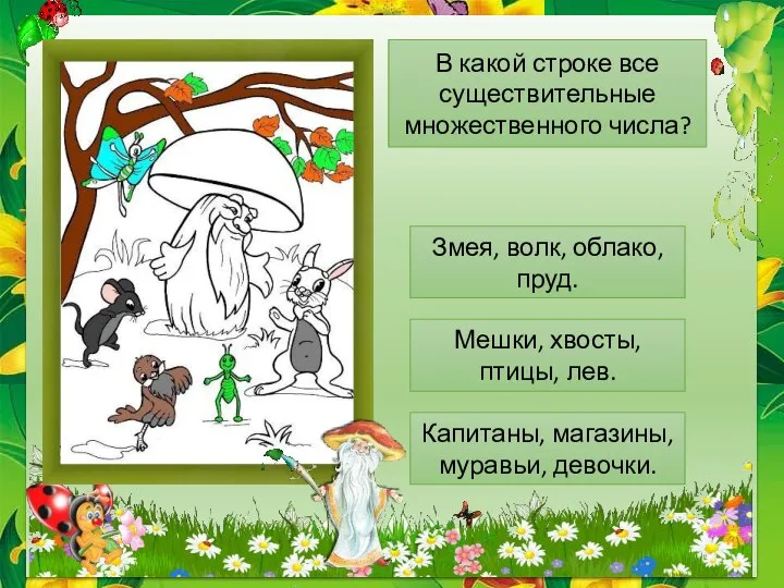 В какой строке все существительные множественного числа? Змея, волк, облако, пруд.