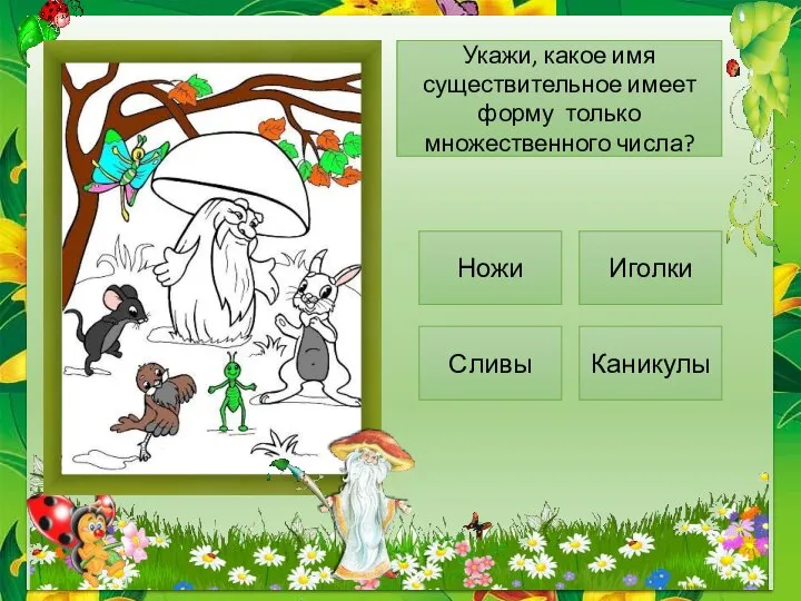 Укажи, какое имя существительное имеет форму только множественного числа? Ножи Иголки Сливы Каникулы