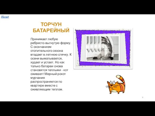 ТОРЧУН БАТАРЕЙНЫЙ Принимает любую ребристо-выгнутую форму. С окончанием отопительного сезона впадает