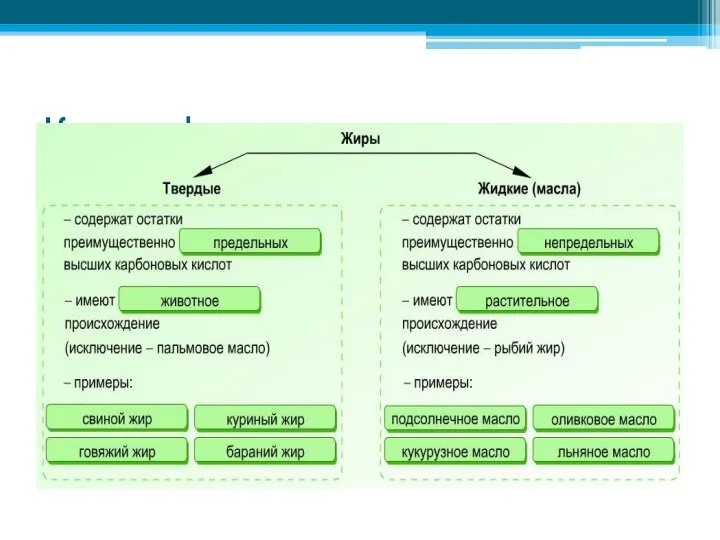 Классификация жиров