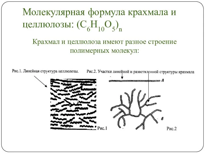 Молекулярная формула крахмала и целлюлозы: (С6Н10О5)n Крахмал и целлюлоза имеют разное