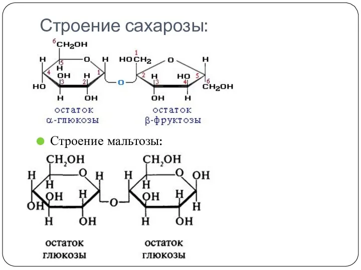 Строение сахарозы: Строение мальтозы: