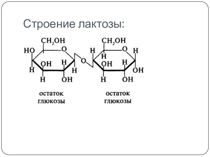 Строение лактозы: