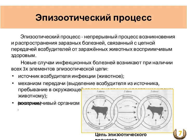 Эпизоотический процесс Эпизоотический процесс - непрерывный процесс возникновения и распространения заразных