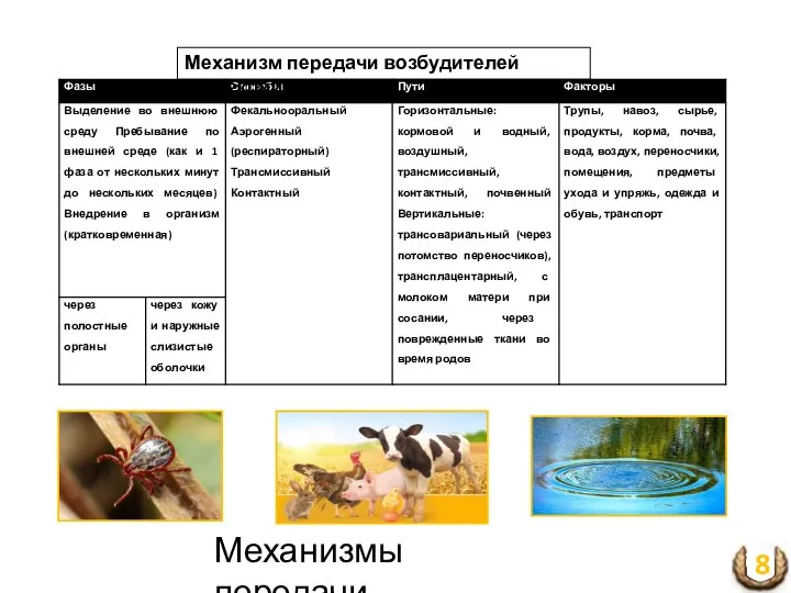 Механизм передачи возбудителей инфекции Механизмы передачи