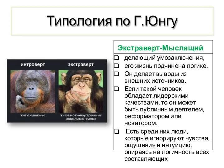 Типология по Г.Юнгу Экстраверт-Мыслящий делающий умозаключения, его жизнь подчинена логике. Он