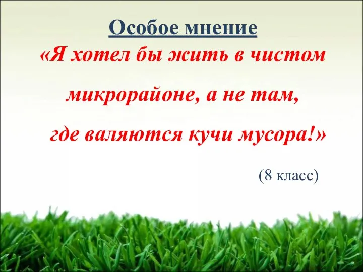 Особое мнение «Я хотел бы жить в чистом микрорайоне, а не