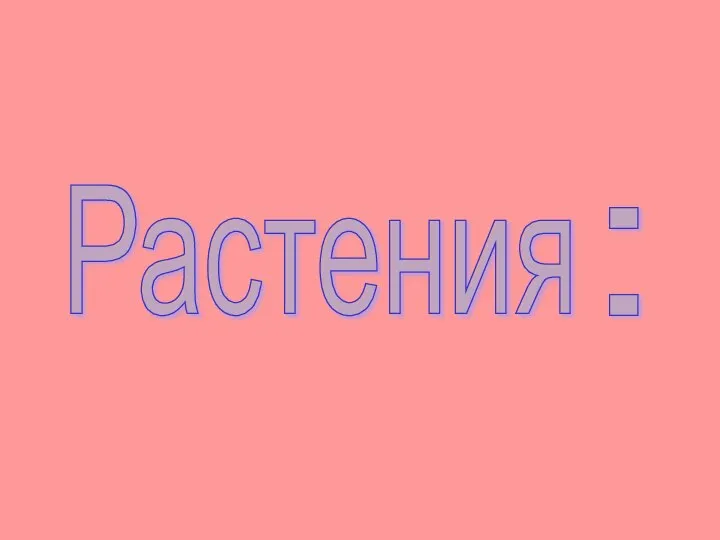 Растения :