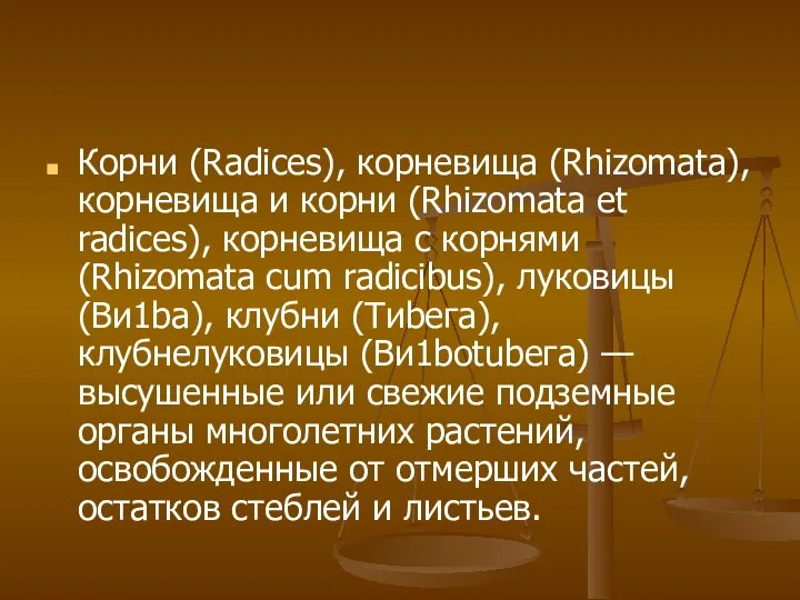 Корни (Radices), корневища (Rhizomata), корневища и корни (Rhizomata et radices), корневища