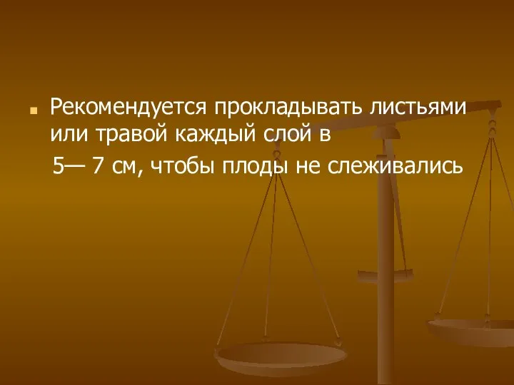 Рекомендуется прокладывать листьями или травой каждый слой в 5— 7 см, чтобы плоды не слеживались