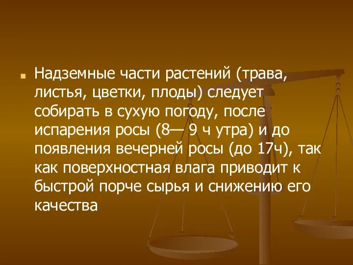 Надземные части растений (трава, листья, цветки, плоды) следует собирать в сухую