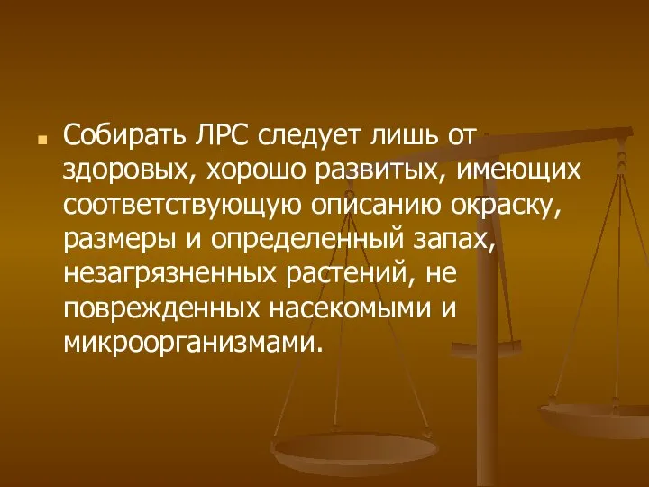 Собирать ЛРС следует лишь от здоровых, хорошо развитых, имеющих соответствующую описанию