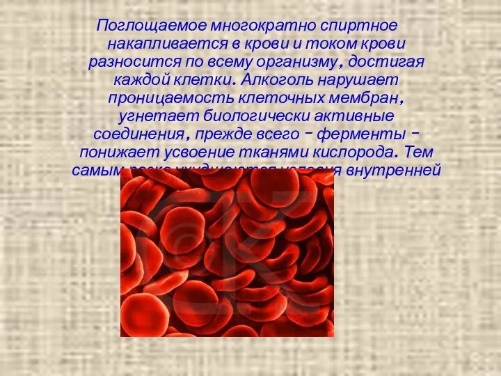 Поглощаемое многократно спиртное накапливается в крови и током крови разносится по