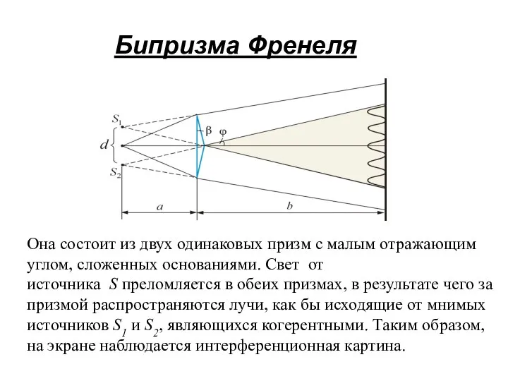 Бипризма Френеля Она состоит из двух одинаковых призм с малым отражающим