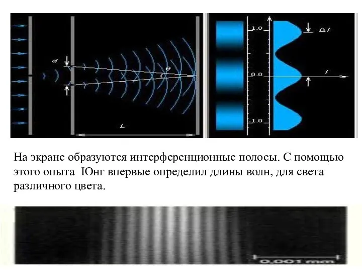 На экране образуются интерференционные полосы. С помощью этого опыта Юнг впервые