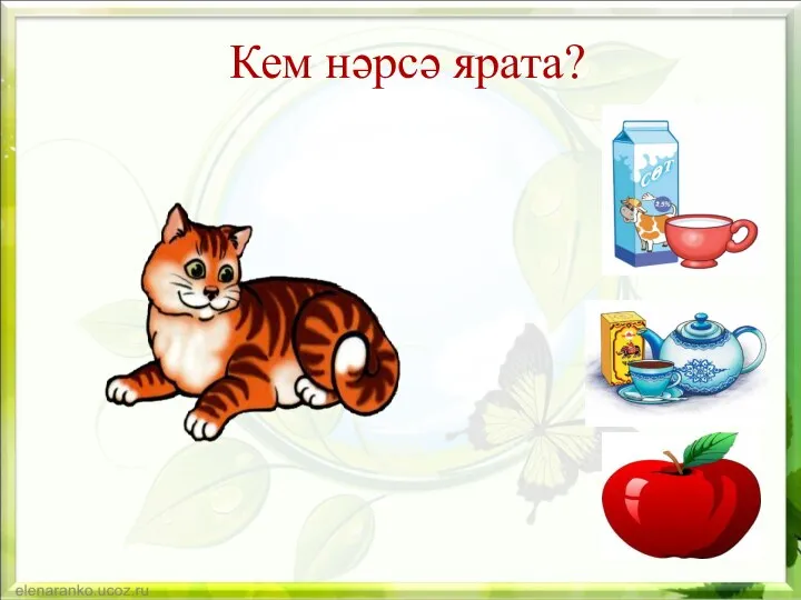 Кем нәрсә ярата?