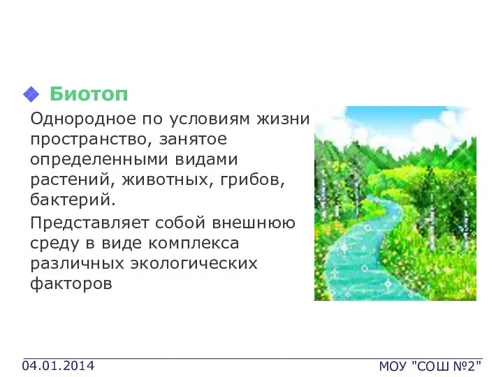 Структурные элементы БГЦ Биотоп Однородное по условиям жизни пространство, занятое определенными