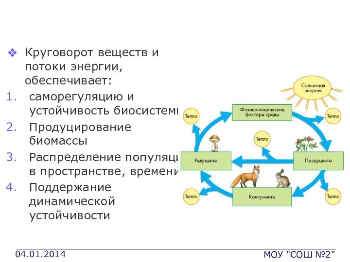 Основные процессы БГЦ Круговорот веществ и потоки энергии, обеспечивает: саморегуляцию и