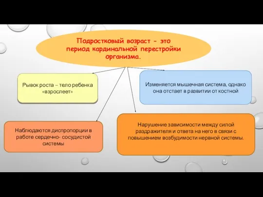 Подростковый возраст - это период кардинальной перестройки организма. Рывок роста –