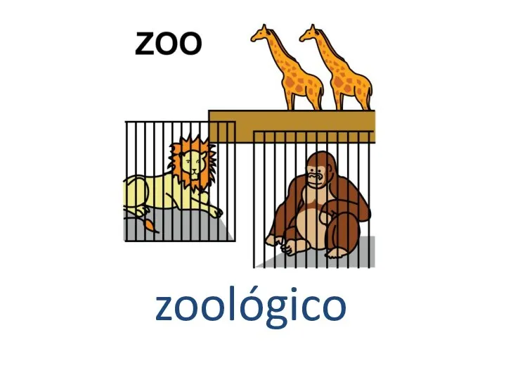 zoológico