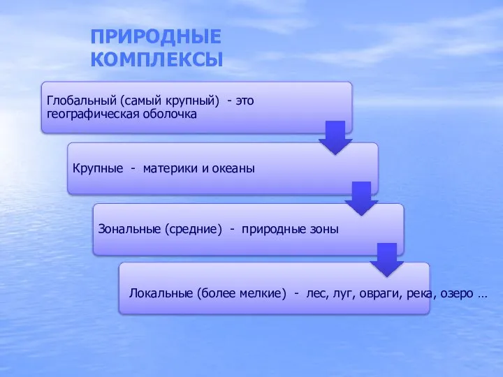 ПРИРОДНЫЕ КОМПЛЕКСЫ Локальные (более мелкие) - лес, луг, овраги, река, озеро …