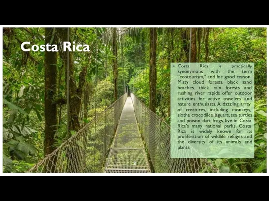 Costa Rica is practically synonymous with the term “ecotourism,” and for
