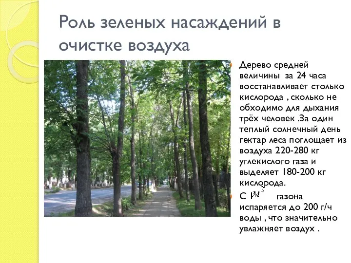 Роль зеленых насаждений в очистке воздуха Дерево средней величины за 24