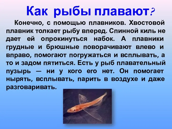 Как рыбы плавают? Конечно, с помощью плавников. Хвостовой плавник толкает рыбу