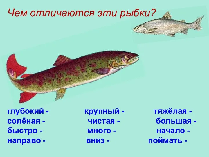 Чем отличаются эти рыбки? глубокий - крупный - тяжёлая - солёная