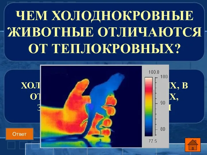 ТЕМПЕРАТУРА ТЕЛА ХОЛОДНОКРОВНЫХ ЖИВОТНЫХ, В ОТЛИЧИЕ ОТ ТЕПЛОКРОВНЫХ, ЗАВИСИТ ОТ ТЕМПЕРАТУРЫ