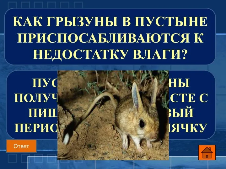 ПУСТЫННЫЕ ГРЫЗУНЫ ПОЛУЧАЮТ ВЛАГУ ВМЕСТЕ С ПИЩЕЙ, В ЗАСУШЛИВЫЙ ПЕРИОД ВПАДАЮТ