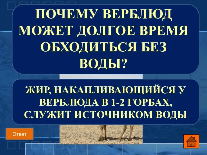 ПОЧЕМУ ВЕРБЛЮД МОЖЕТ ДОЛГОЕ ВРЕМЯ ОБХОДИТЬСЯ БЕЗ ВОДЫ? ЖИР, НАКАПЛИВАЮЩИЙСЯ У