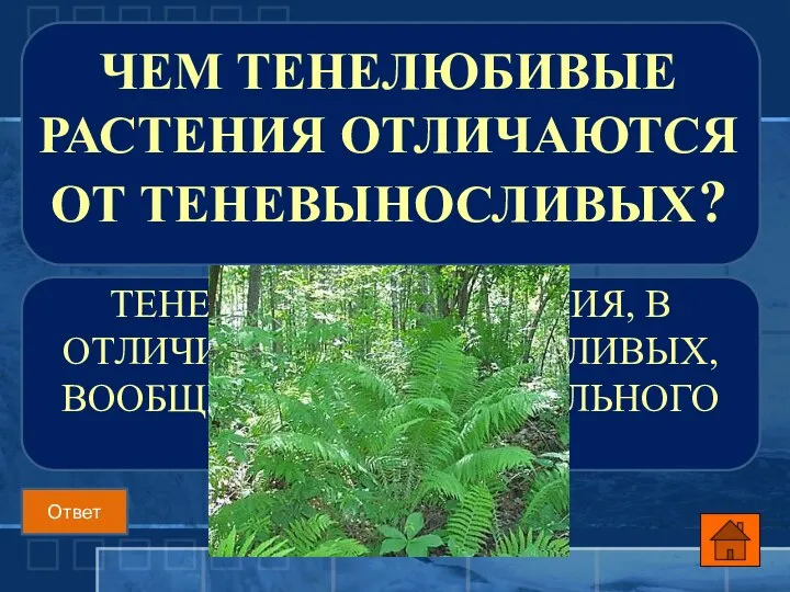 ТЕНЕЛЮБИВЫЕ РАСТЕНИЯ, В ОТЛИЧИЕ ОТ ТЕНЕВЫНОСЛИВЫХ, ВООБЩЕ НЕ ВЫНОСЯТ СИЛЬНОГО ОСВЕЩЕНИЯ