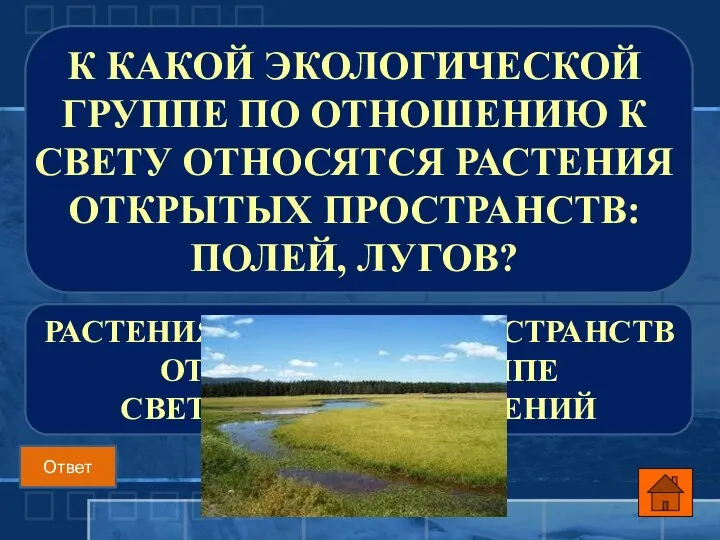 РАСТЕНИЯ ОТКРЫТЫХ ПРОСТРАНСТВ ОТНОСЯТСЯ К ГРУППЕ СВЕТОЛЮБИВЫХ РАСТЕНИЙ К КАКОЙ ЭКОЛОГИЧЕСКОЙ