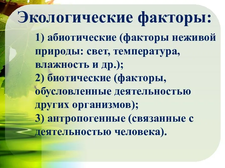 1) абиотические (факторы неживой природы: свет, температура, влажность и др.); 2)