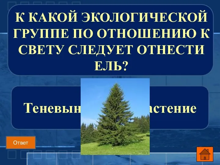 Теневыносливое растение К КАКОЙ ЭКОЛОГИЧЕСКОЙ ГРУППЕ ПО ОТНОШЕНИЮ К СВЕТУ СЛЕДУЕТ ОТНЕСТИ ЕЛЬ? Ответ