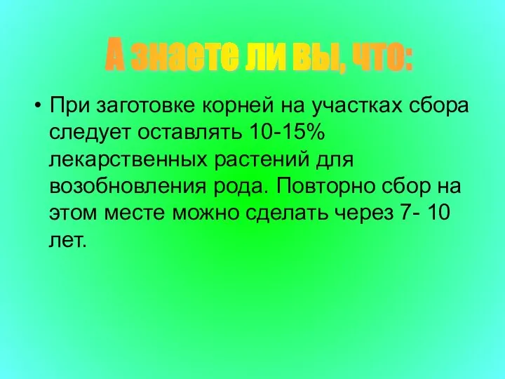 При заготовке корней на участках сбора следует оставлять 10-15% лекарственных растений