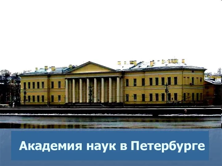 Академия наук в Петербурге