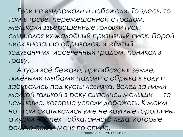 Гуси не выдержали и побежали. То здесь, то там в траве,