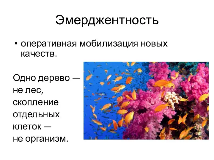 Эмерджентность оперативная мобилизация новых качеств. Одно дерево — не лес, скопление отдельных клеток — не организм.