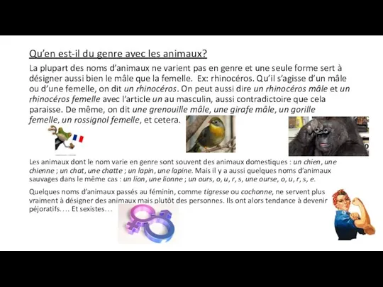 Qu’en est-il du genre avec les animaux? La plupart des noms