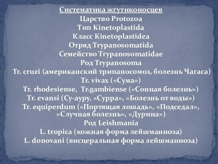 Систематика жгутиконосцев Царство Protozoa Тип Kinetoplastida Класс Kinetoplastidea Отряд Trypanosomatida Семейство