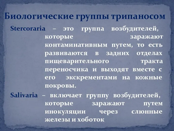 Биологические группы трипаносом Stercoraria – это группа возбудителей, которые заражают контаминативным