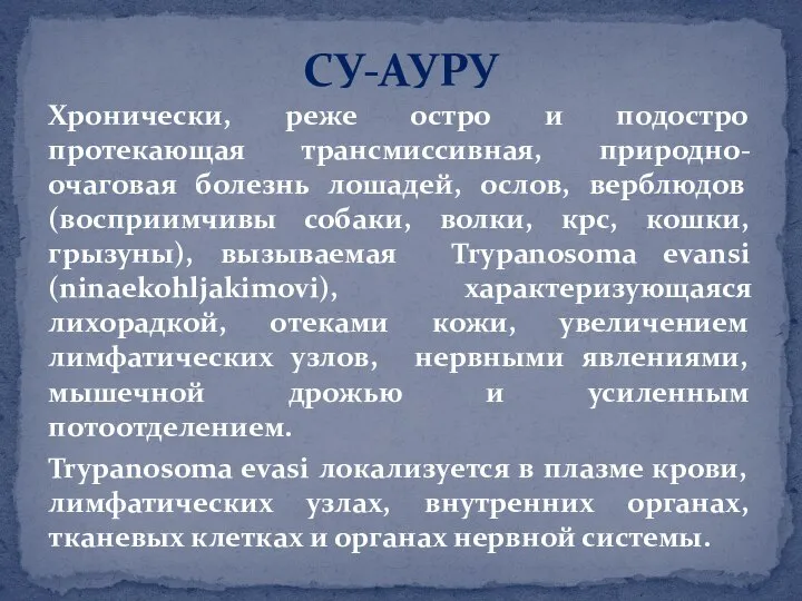 Хронически, реже остро и подостро протекающая трансмиссивная, природно-очаговая болезнь лошадей, ослов,