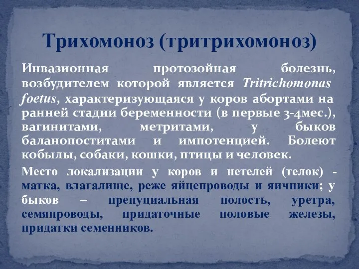 Инвазионная протозойная болезнь, возбудителем которой является Tritrichomonas foetus, характеризующаяся у коров