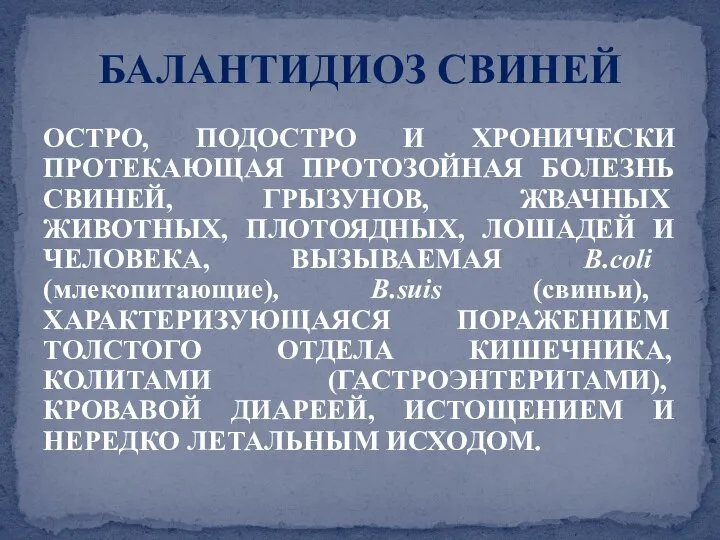 ОСТРО, ПОДОСТРО И ХРОНИЧЕСКИ ПРОТЕКАЮЩАЯ ПРОТОЗОЙНАЯ БОЛЕЗНЬ СВИНЕЙ, ГРЫЗУНОВ, ЖВАЧНЫХ ЖИВОТНЫХ,