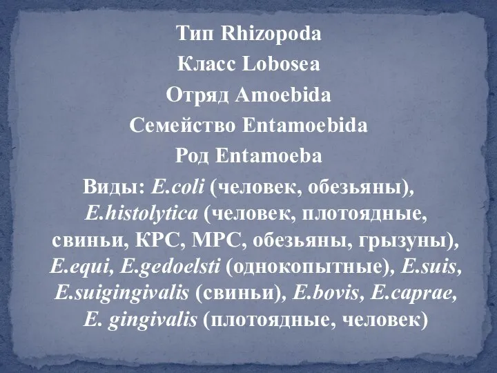 Тип Rhizopoda Класс Lobosea Отряд Amoebida Семейство Entamoebida Род Entamoeba Виды: